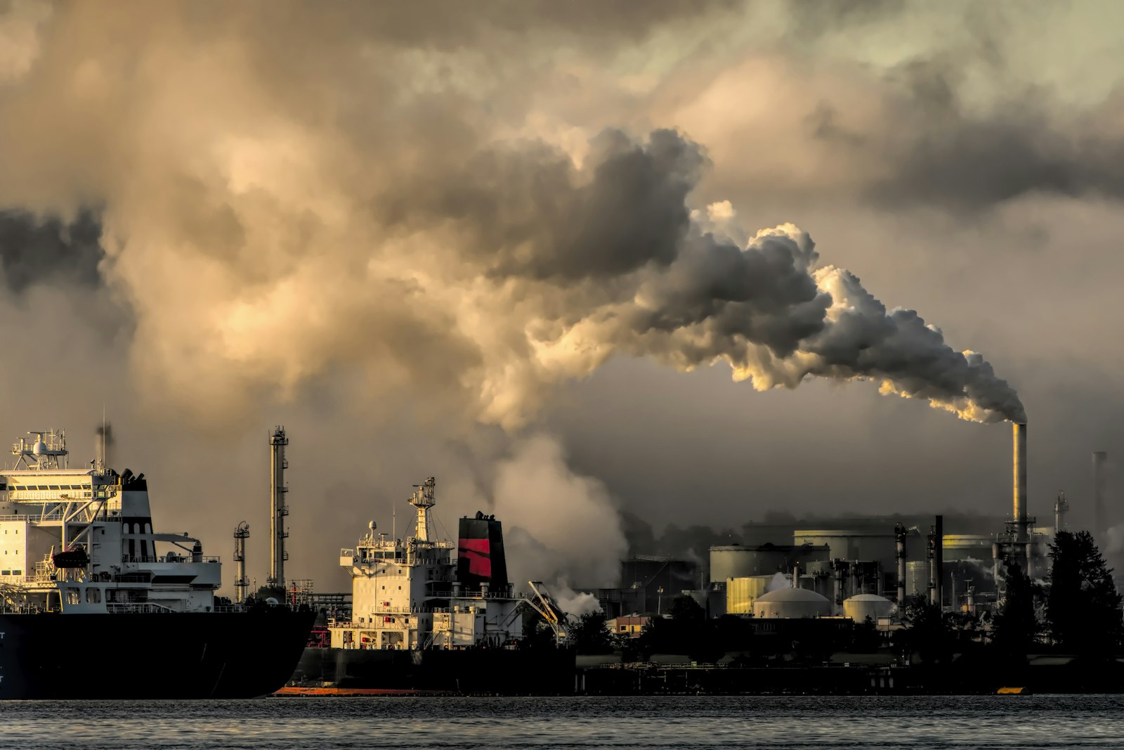 Hydrogen Storage and Distribution Infrastructure