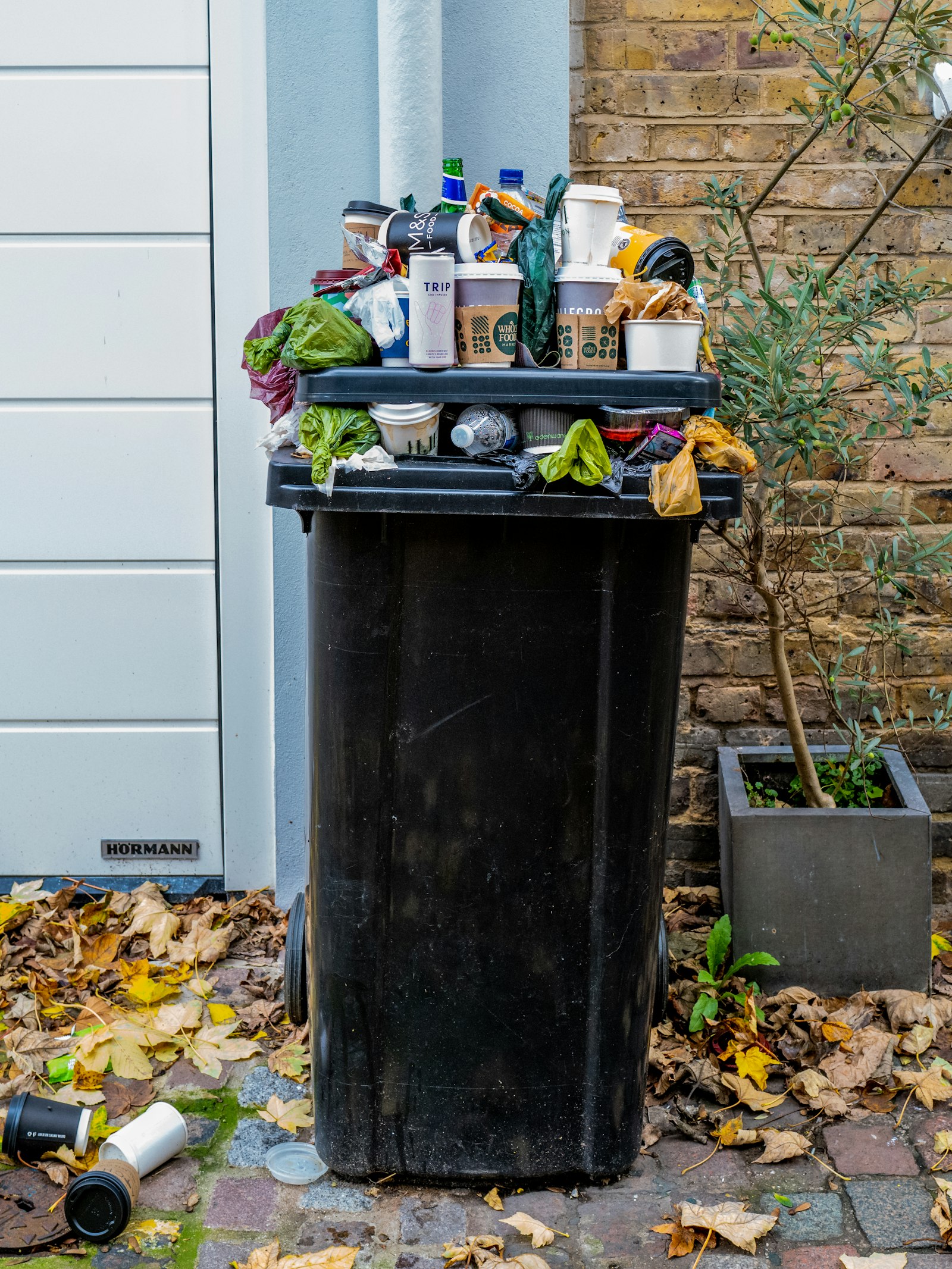Industrial Food Waste to Biogas: Case Studies