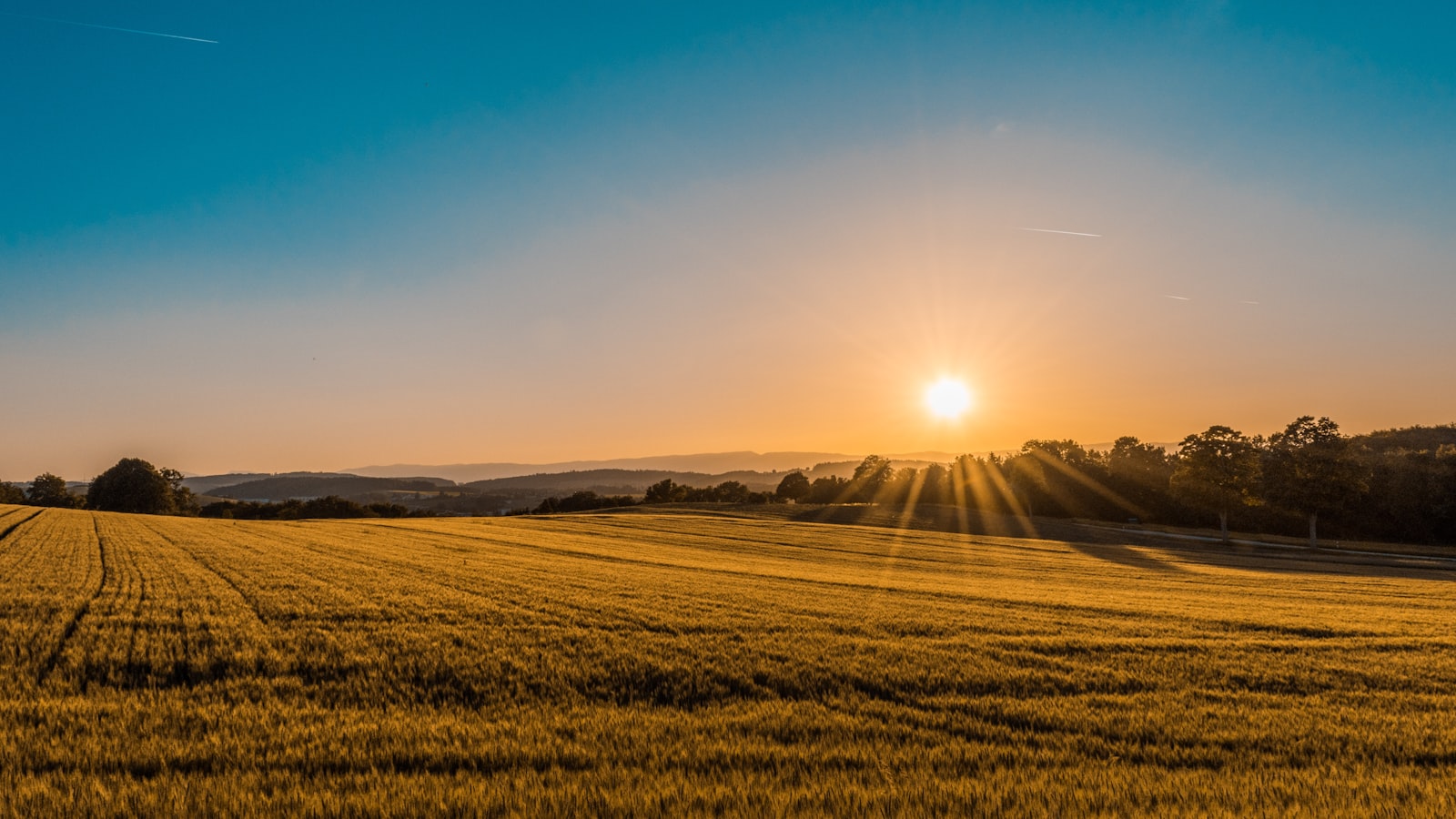 Agrivoltaics: Co-locating Farming and Solar Generation