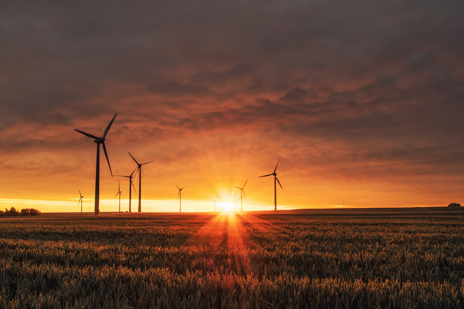 Repowering Aging Wind Fleets: Engineering and Economics